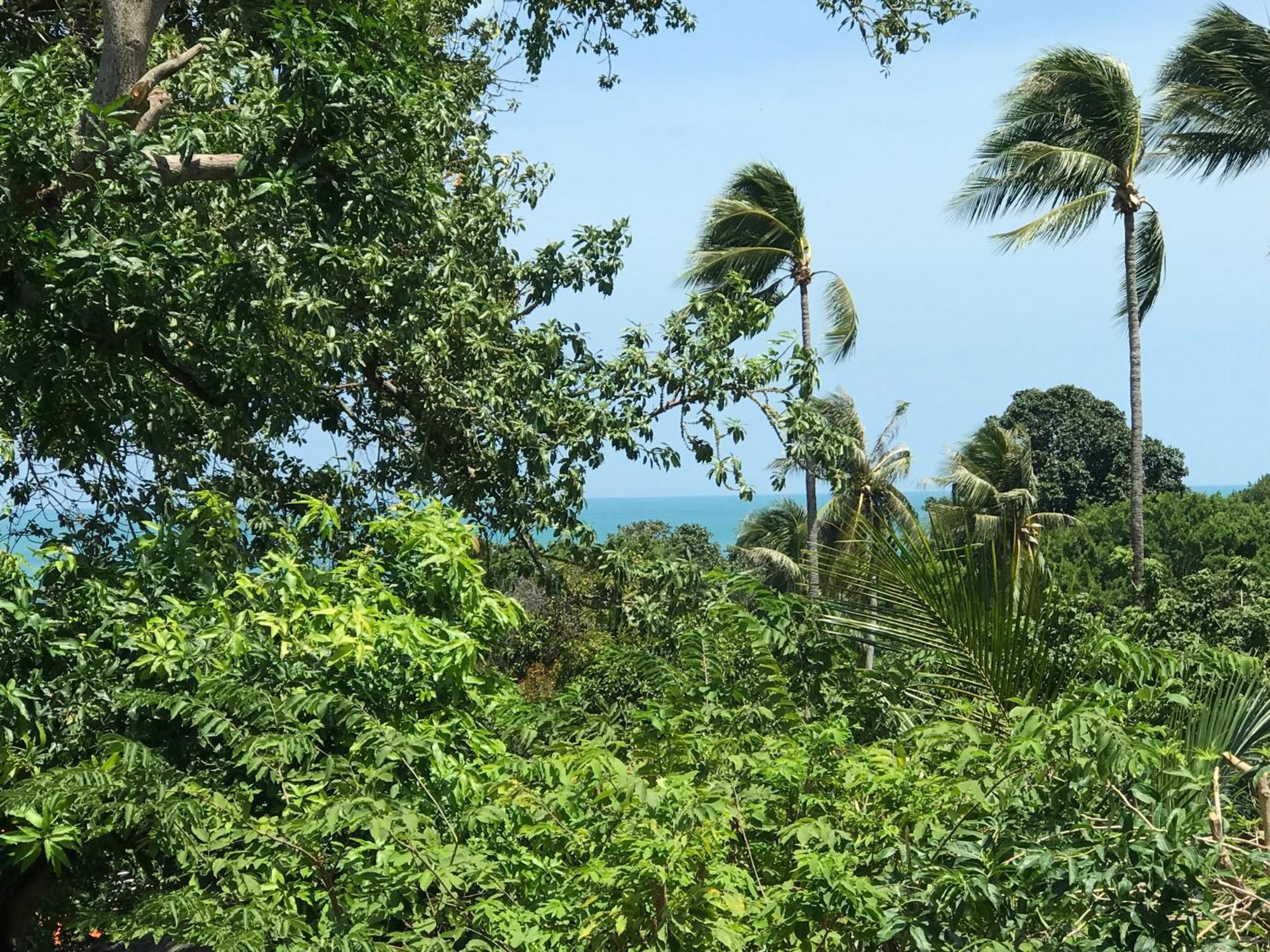 Private Lodge Beachside Samui Lamai Номер фото